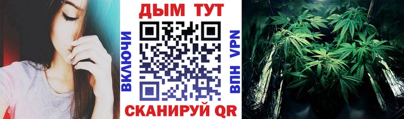 Бошки Шишки гибрид  закладки  Алагир 